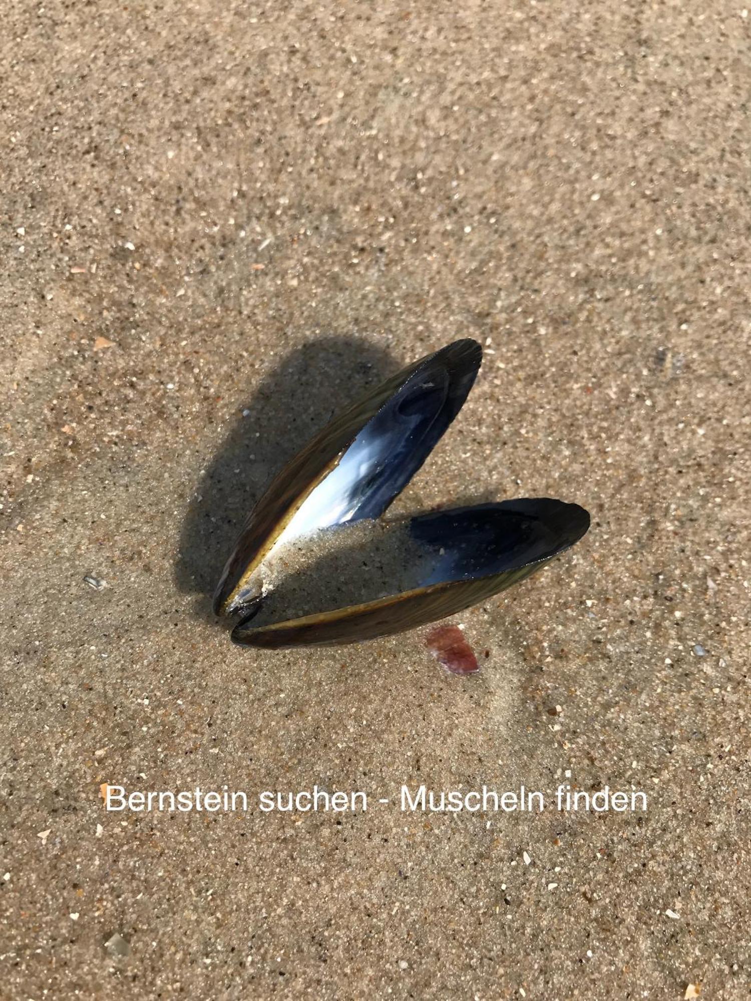 Eschen'S Allee Aurich Eksteriør bilde